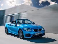 BMW 2 Series Convertible 2014 #52