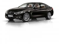 BMW 4 Series Gran Coupe 2014 #08
