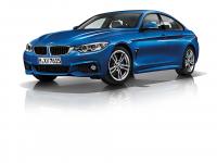 BMW 4 Series Gran Coupe 2014 #21