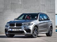 BMW X5M 2014 #100