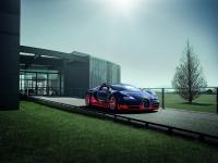 Bugatti Grand Sport Vitesse 2012 #11