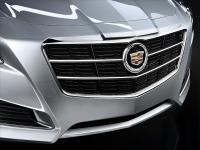 Cadillac CTS 2013 #35