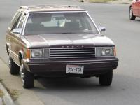 Dodge Aries Coupe 1981 #08