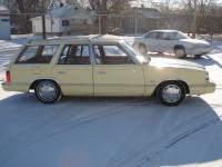 Dodge Aries Coupe 1981 #14