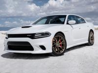 Dodge Charger 2010 #40