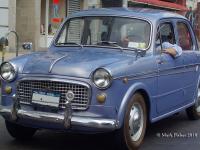 Fiat 1100 D 1962 #34