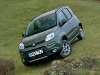 Fiat Panda 4x4 2012 #131