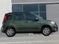 Fiat Panda 4x4 2012 #28