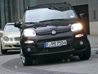 Fiat Panda 4x4 2012 #65