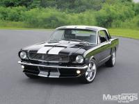 Ford Mustang 1965 #08