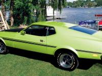 Ford Mustang 1971 #15