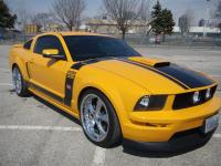 Ford Mustang 2009 #02