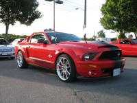 Ford Mustang 2009 #08