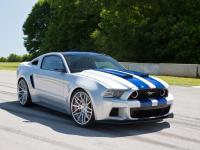 Ford Mustang 2014 #167
