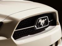 Ford Mustang 2014 #25