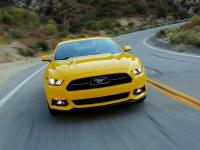 Ford Mustang 2014 #73
