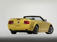 Ford Mustang Convertible 2004 #01
