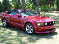 Ford Mustang Convertible 2004 #06