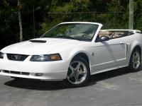 Ford Mustang Convertible 2004 #09