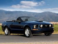 Ford Mustang Convertible 2004 #14