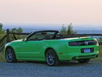 Ford Mustang Convertible 2014 #12
