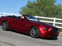 Ford Mustang Convertible 2014 #19