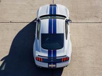 Ford Mustang Shelby GT350 2015 #21