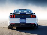 Ford Mustang Shelby GT350 2015 #22
