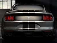 Ford Mustang Shelby GT350 2015 #28