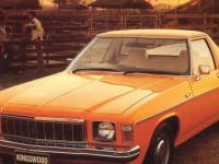 Holden HJ 1974 #15