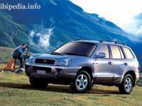 Hyundai Santa Fe 2000 #11