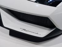 Lamborghini LP 570-4 Spyder Performante 2010 #27