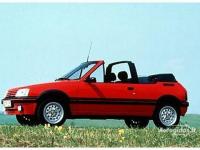 Peugeot 205 CTI 1986 #19