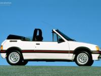 Peugeot 205 CTI 1986 #60