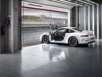 Porsche 911 GT3 2013 #42
