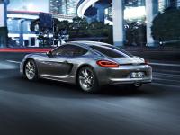 Porsche Cayman 981 2012 #19