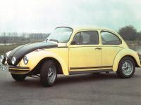 Volkswagen Beetle GSR 2013 #87